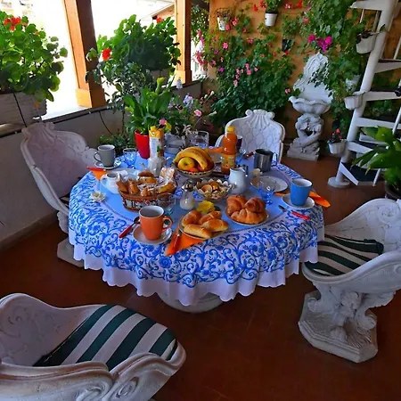 Casa Graziella Casa de hóspedes Numana
